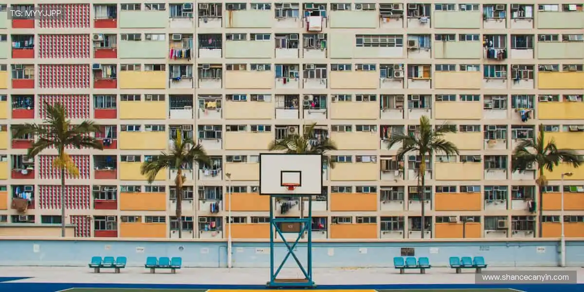 👟 专业装备，个性设计，